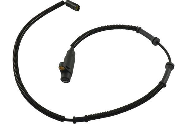 Αισθητήρας, στροφές τροχού KAVO PARTS BAS-4029 KAVO PARTS BAS-4029 Αισθητήρας ABS KIA CARENS 2000