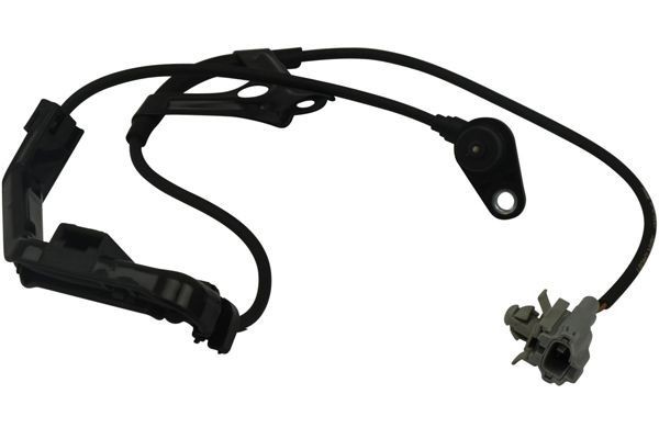 KAVO PARTS Andur, rattapöörete arv BAS-9007 KAVO PARTS ABS andur FORD BAS-9007