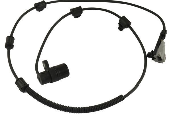 KAVO PARTS Andur, rattapöörete arv BAS-9055 BAS-9055 KAVO PARTS ABS andur Ford odav