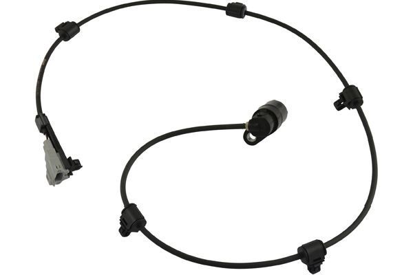 KAVO PARTS Sensor, rotações da roda BAS-9056 KAVO PARTS BAS-9056 originais Sensor ABS Toyota Land Cruiser 80 custo