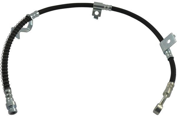 KAVO PARTS Remslang BBH-3048 KAVO PARTS BBH-3048 Remslangen XG (XG) prijs