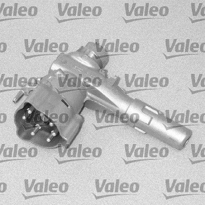 VALEO Lukkosylinterin kotelo 256491 256491 VALEO Lukkosylinteri MERCEDES-BENZ 100