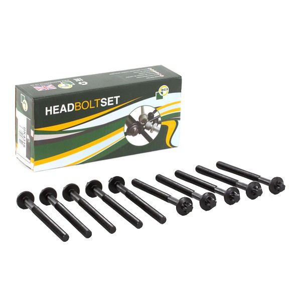 BGA Cilindru galvas skrūvju komplekts BK4316 Cilindru galvas skrūvju komplekts BGA CALIBER BK4316 lēti