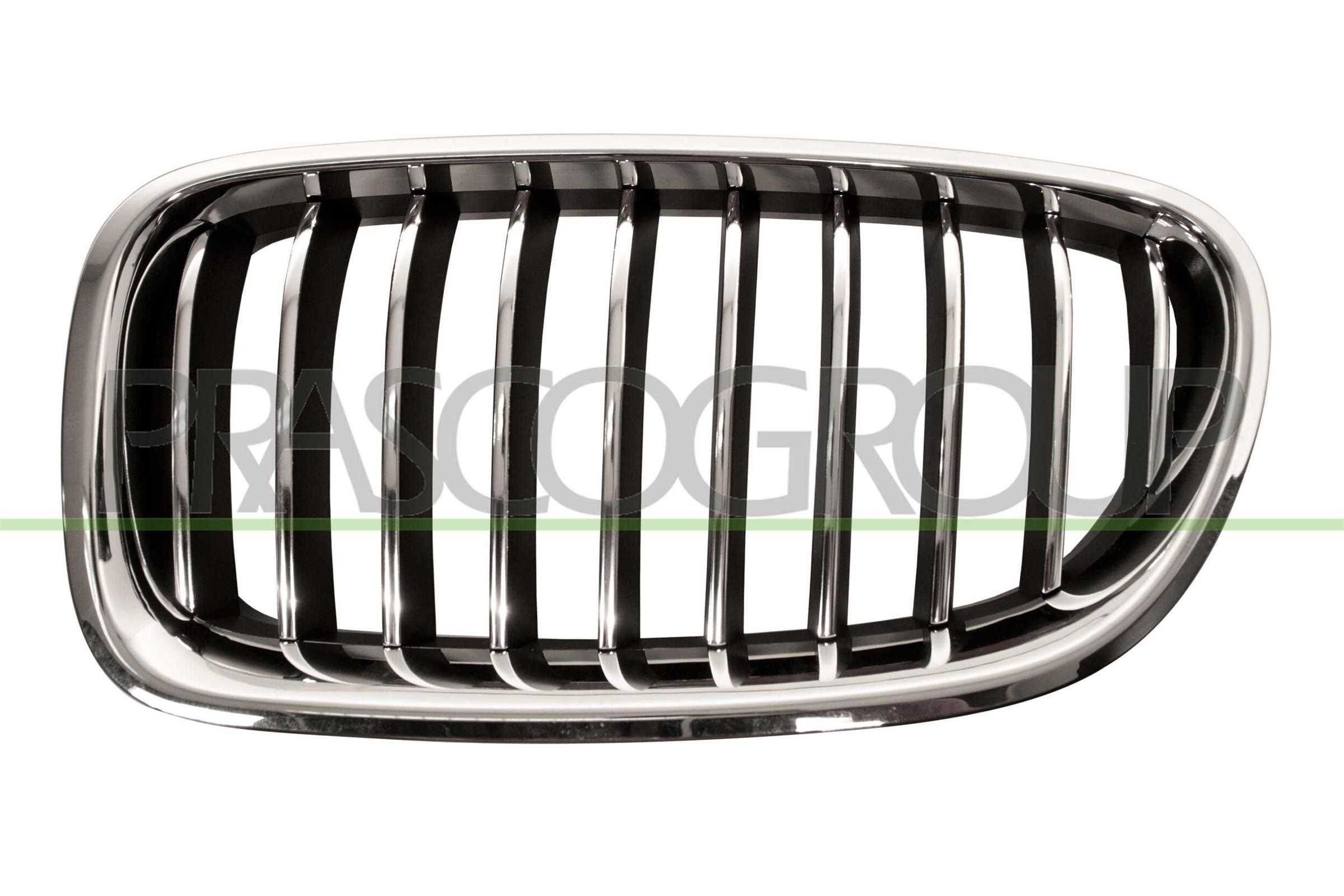 PRASCO Grelha de radiador BM0502004 BM0502004 Grelha de radiador BMW X2 PRASCO