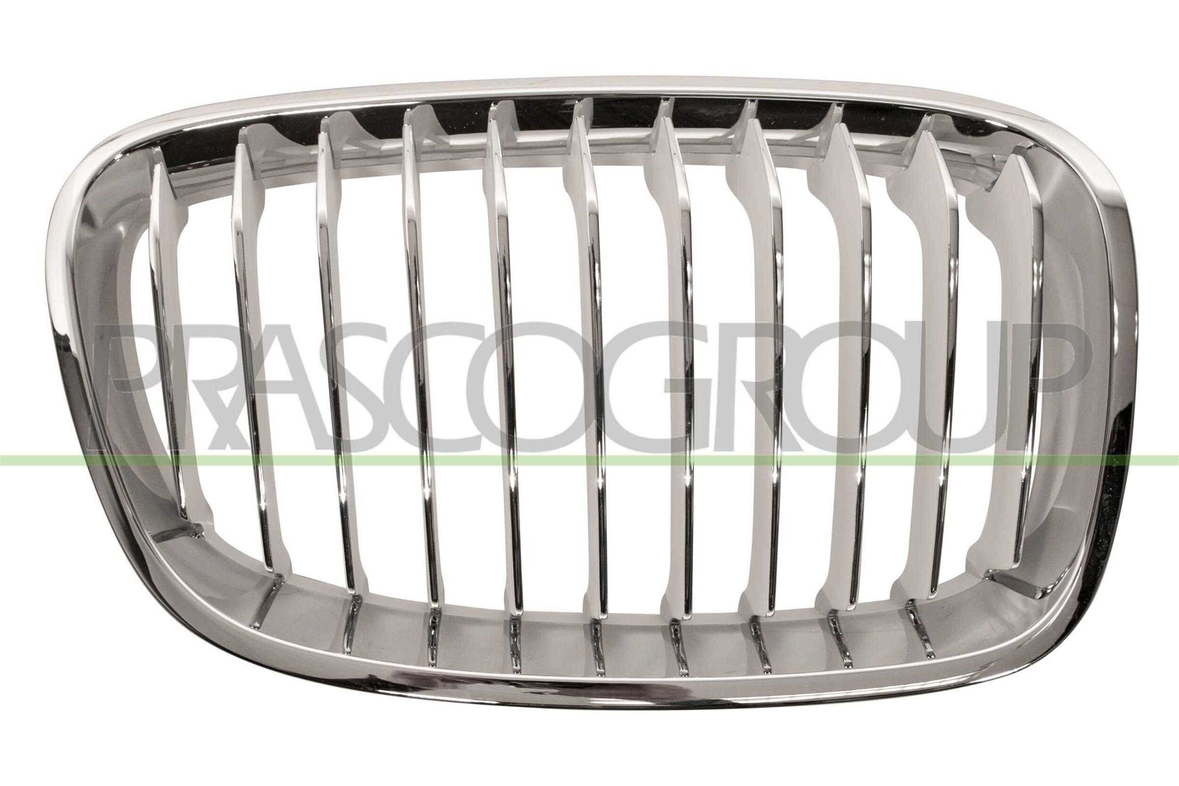 PRASCO Radiatorgitter BM1232013 BM1232013 Sportsgrill JAGUAR X-TYPE PRASCO