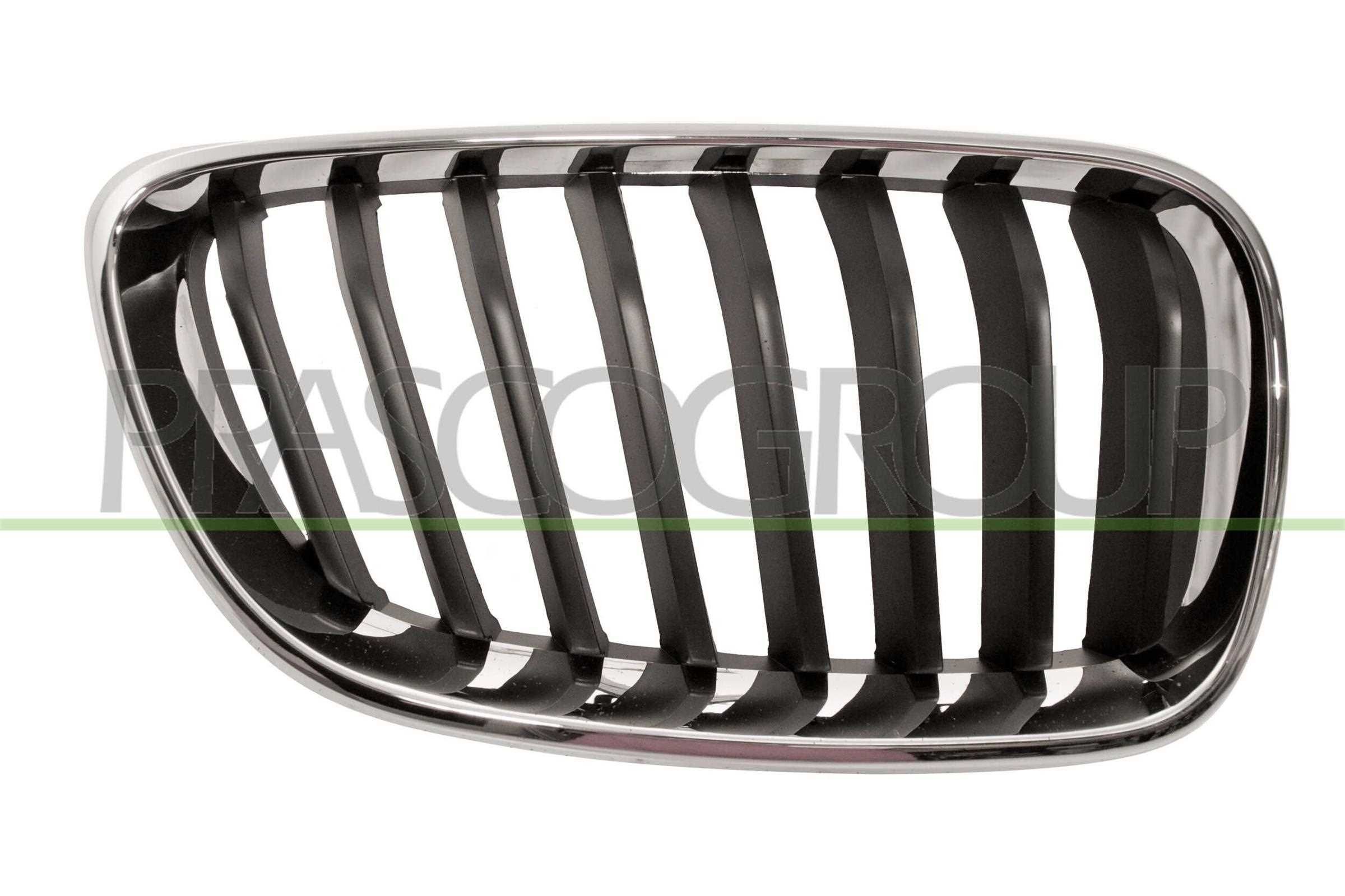 PRASCO Griglia radiatore BM2502003 PRASCO BM2502003 Griglia BMW F23 originale prezzo