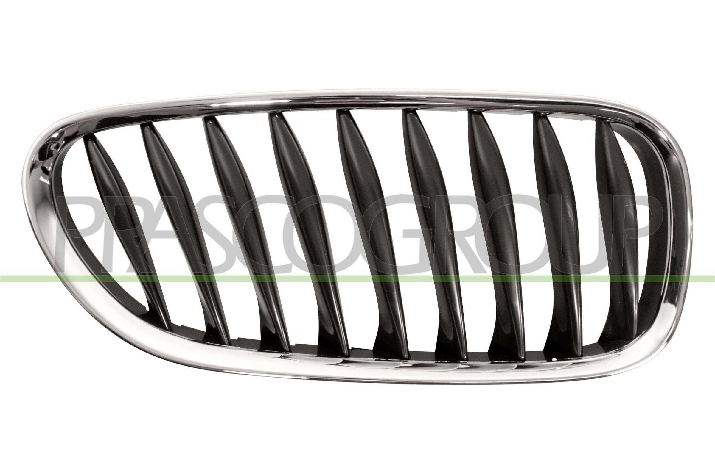 Radiator grill PRASCO BM6242003 PRASCO BM6242003: Radiator grill BMW Z4 2016