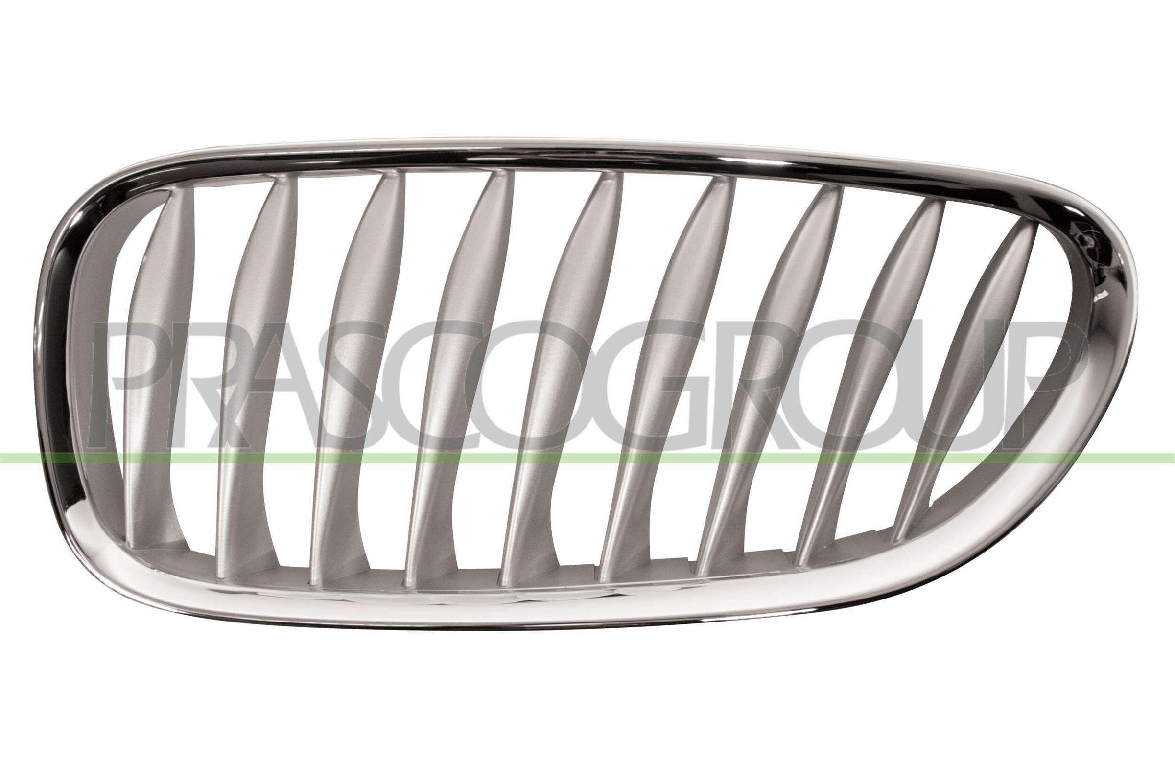 Kølergitter PRASCO BM6242014 PRASCO BM6242014 Kølergitter BMW Z4 2012