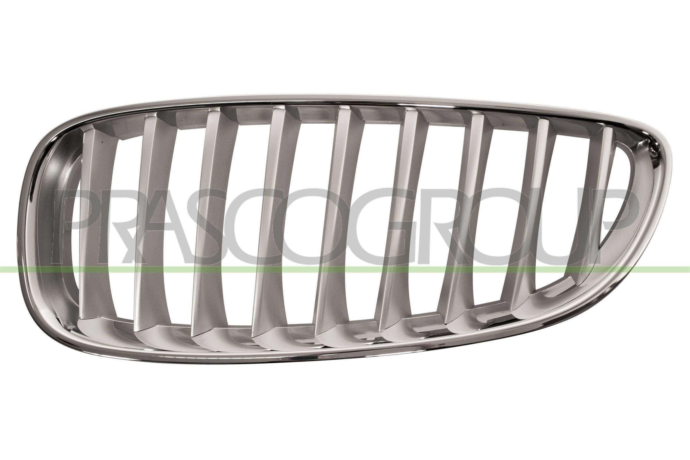 PRASCO Griglia radiatore BM6282014 PRASCO BM6282014 Griglia radiatore