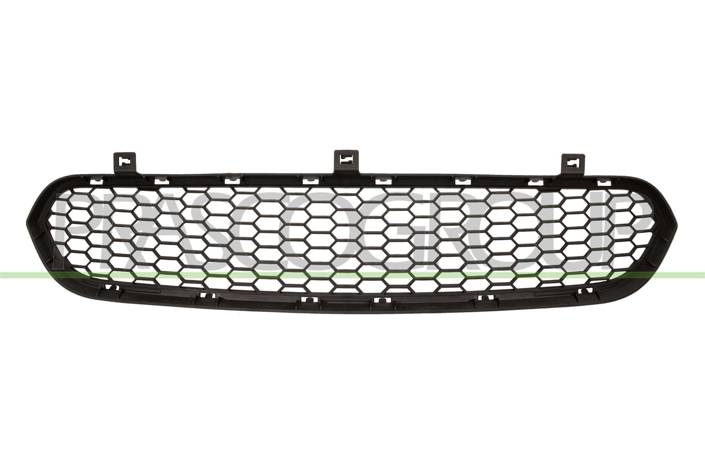 Ventilatiegrille, bumper PRASCO BM8252120 PRASCO BM8252120: Grille BMW X6 2009