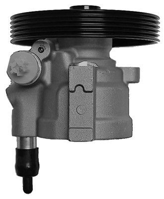 WAT Servopumpe BRN57S Servostyringspumpe WAT Dacia DUSTER BRN57S