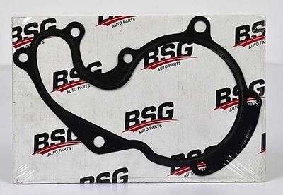 BSG Pakking, waterpomp BSG 30-116-017 BSG 30-116-017 BSG Koelwaterpakking Peugeot goedkoop