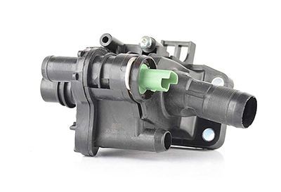 BSG Boîtier du thermostat BSG 30-126-008 BSG 30-126-008 BSG Thermostat d'eau Ford pas cher
