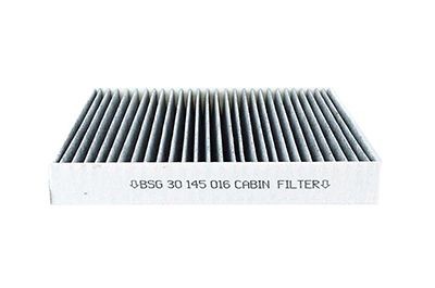 BSG Filtre d'habitacle BSG 30-145-016 Filtre climatisation BSG PAJERO SPORT BSG 30-145-016 pas cher