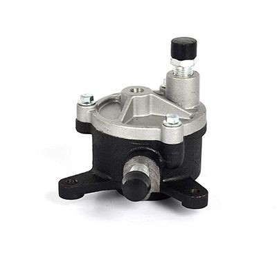 BSG Vakuumpumpe, bremseanlegg BSG 30-235-001 BSG 30-235-001 Vakuumpumpe for bremsekraftforsterker VW TIGUAN BSG