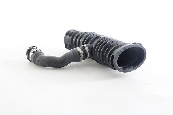 BSG Aanzuigslang, luchtfilter BSG 30-720-063 Peugeot 307 Aanzuigslang, luchtfilter BSG BSG 30-720-063