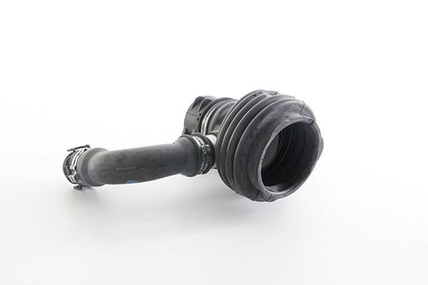 BSG Aanzuigslang, luchtfilter BSG 30-720-093 Peugeot 307 Aanzuigslang, luchtfilter BSG BSG 30-720-093