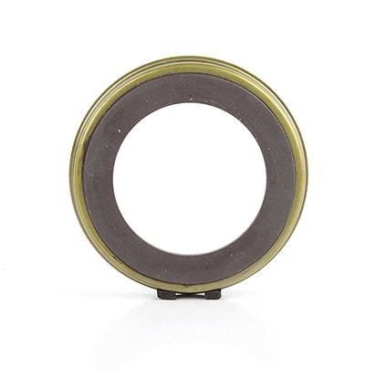 BSG Sensorring till ABS BSG 30-840-038 Sensorring abs Ford JH_, JD_ BSG 30-840-038 BSG