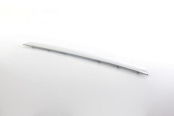 BSG Διακοσμητική / προστατευτική λωρίδα, προφυλακτήρας BSG 30-922-010 BSG 30-922-010 Κάλυμμα, προφυλακτήρας FORD ESCORT BSG