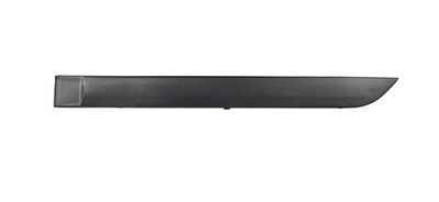 BSG Modanatura decorativa / protettiva, Portiera BSG 30-924-005 BSG 30-924-005 Modanatura FORD BSG costo