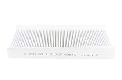 BSG Pollenfilter BSG 65-145-005 Kabinefilter BSG 500 BSG 65-145-005 billig