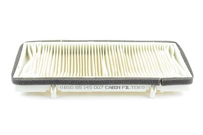 BSG Filtro abitacolo BSG 65-145-007 BSG 65-145-007 Filtro abitacolo BSG OPEL VIVARO costo
