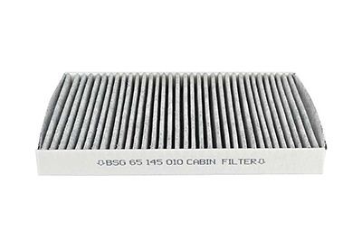 BSG Filter vnútorného priestoru BSG 65-145-010 Peľový filter BSG PAJERO SPORT BSG 65-145-010 lacné