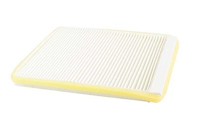 BSG Filter, salongiõhk BSG 70-145-005 Salongifilter BSG Peugeot 307 BSG 70-145-005