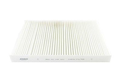 BSG Pollenfilter BSG 90-145-001 Kabinefilter BSG MATIZ BSG 90-145-001 billig