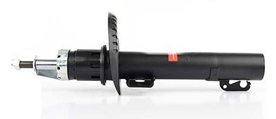 BSG Ammortizzatore BSG 90-300-021 BSG 90-300-021 costo Ammortizzatori BSG Volkswagen TIGUAN