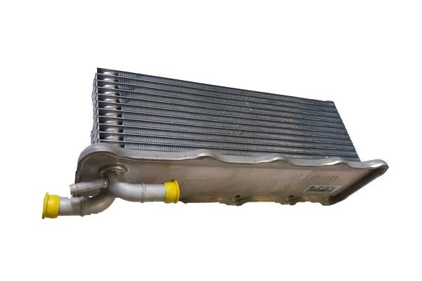 BUGIAD Intercooler BSP24953 BSP24953 Échangeur air SKODA OCTAVIA BUGIAD