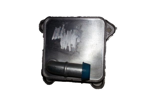 BUGIAD Radiateur d'huile BSP24972 Refroidisseur huile moteur MERCEDES-BENZ BUGIAD BSP24972