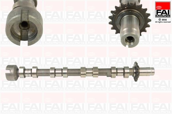 FAI AutoParts Εκκεντροφόρος άξονας C364 C364 Εκκεντροφόρος άξονας CITROËN C5 FAI AutoParts