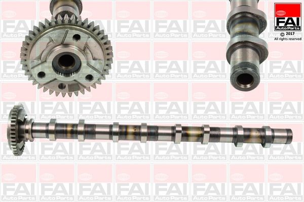 FAI AutoParts Εκκεντροφόρος άξονας C381 Εκκεντροφόρος άξονας FAI AutoParts X2 C381 φθηνά