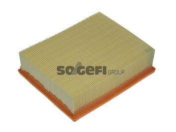 FRAM Luftfilter CA8675 CA8675 FRAM Luftfilter Citroën billig