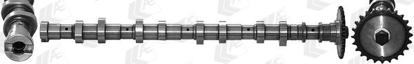 AE Camshaft CAM966 AE CAM966 Picanto Mk2 camshaft price