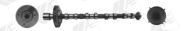 Knastaksel AE CAM973 AE CAM973: Knastaksel Mitsubishi PAJERO SPORT 2005
