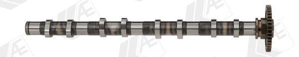 Árvore de cames AE CAM978 AE CAM978 Árvore de cames BMW X5 2021