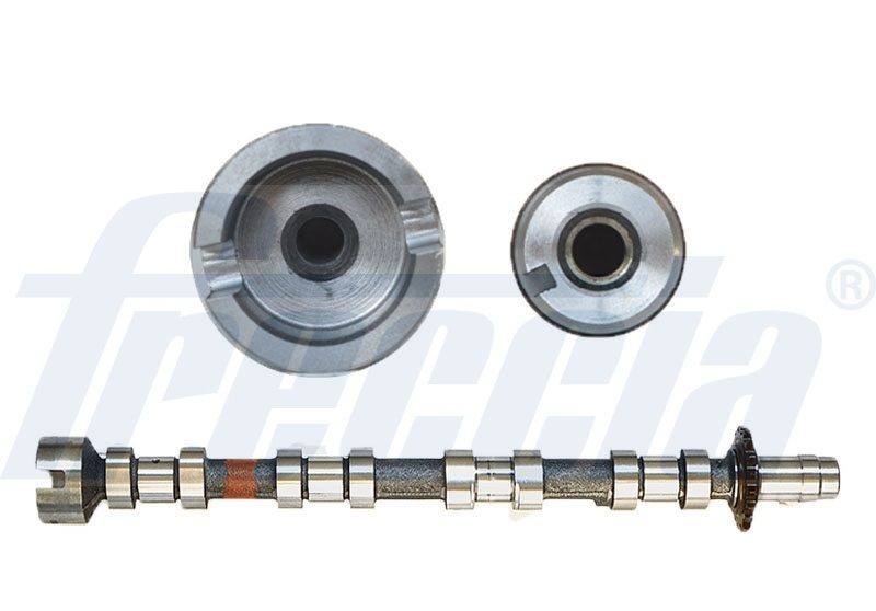 FRECCIA Knastaksel CM05-2271 FRECCIA CM05-2271 originale Knastakselsæt VW BORA pris