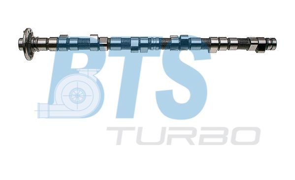 BTS TURBO Vačkový hriadeľ CP11913 BTS TURBO CP11913 Vačkový hriadeľ SL R129 originálne cena