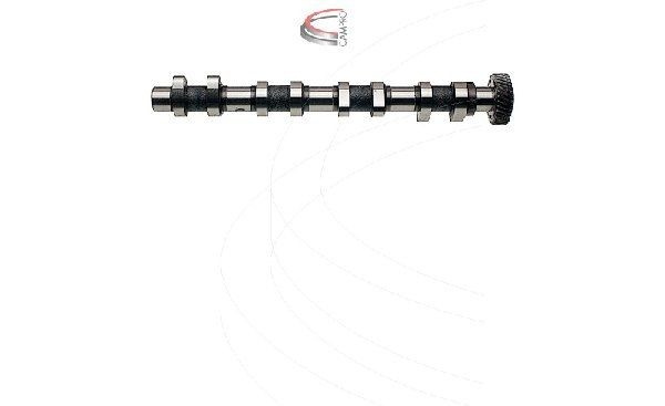 CAMPRO Εκκεντροφόρος άξονας CP12281 Εκκεντροφόρος άξονας CAMPRO Mazda CX-30 CP12281