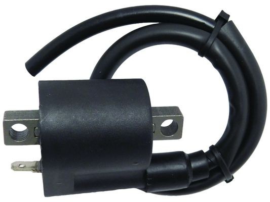 WAI Bobine d'allumage CPS25 Bobine injecteur WAI FR-V CPS25 pas cher
