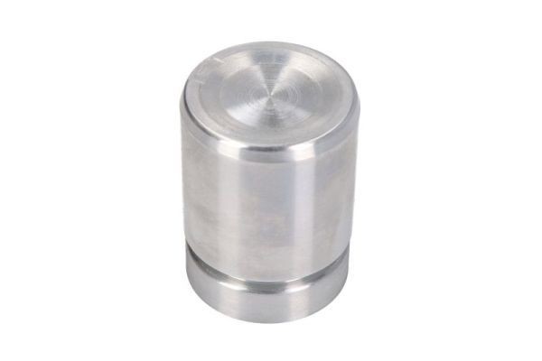 LAUBER Piston, étrier de frein CQ71364816 Rover 400 Piston étrier LAUBER CQ71364816