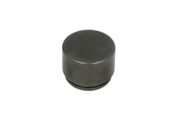 LAUBER Piest brzdového strmeňa CQ71385042 LAUBER CQ71385042 Piest brzdového strmeňa 9-3X Kombi cena