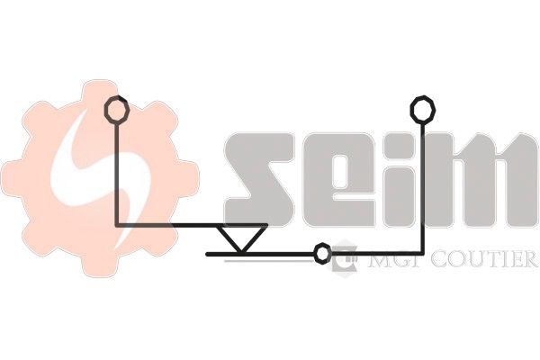 SEIM Διακόπτης των φώτων φρένων CS198 SEIM Διακοπτης φωτων φρενων FORD CS198