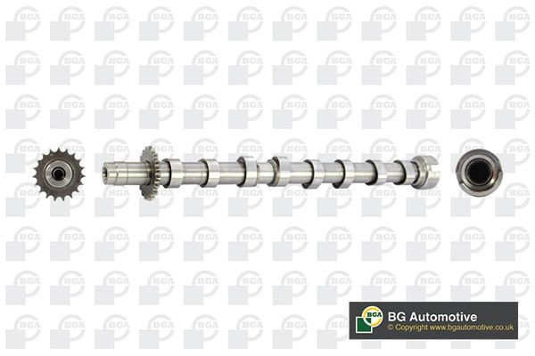 BGA Albero a camme CS5524 BGA CS5524 Albero a camme FORD Focus Mk2 Hatchback (DA_, HCP, DP) 1.6 Flex 116 CV 2012