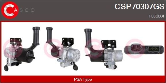 CASCO Servo čerpadlo CSP70307GS Čerpadlo posilňovača riadenia PEUGEOT CASCO CSP70307GS
