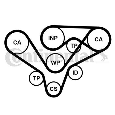 CONTITECH Kit cinghia distribuzione, pompa acqua CT1015WP2PRO CONTITECH CT1015WP2PRO costo Kit cinghia di distribuzione e pompa acqua Audi Allroad 4BH originale