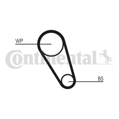 Correia dentada CONTITECH CT1195 CONTITECH CT1195: Correia de distribuição Audi Q5 2021