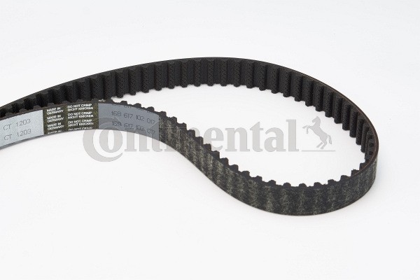 CONTITECH Cinghia dentata CT1203 CONTITECH CT1203 Cinghia di distribuzione Proace 2 originale prezzo